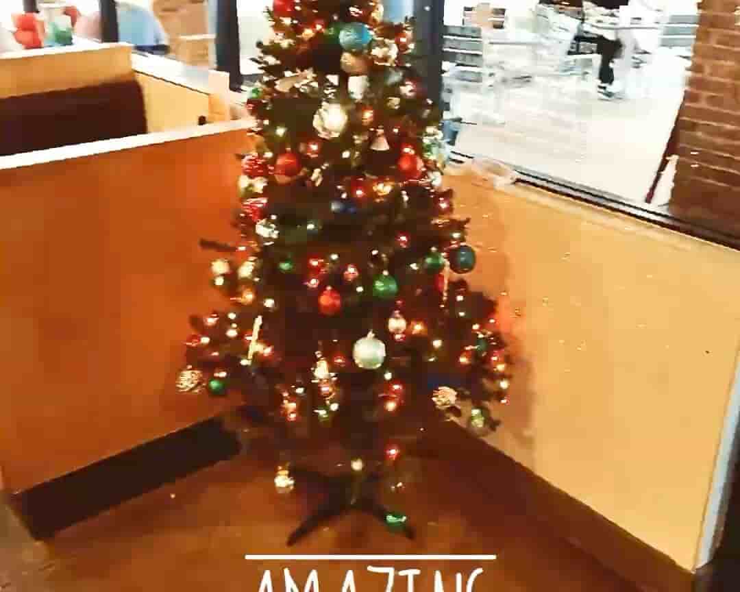 alt 1