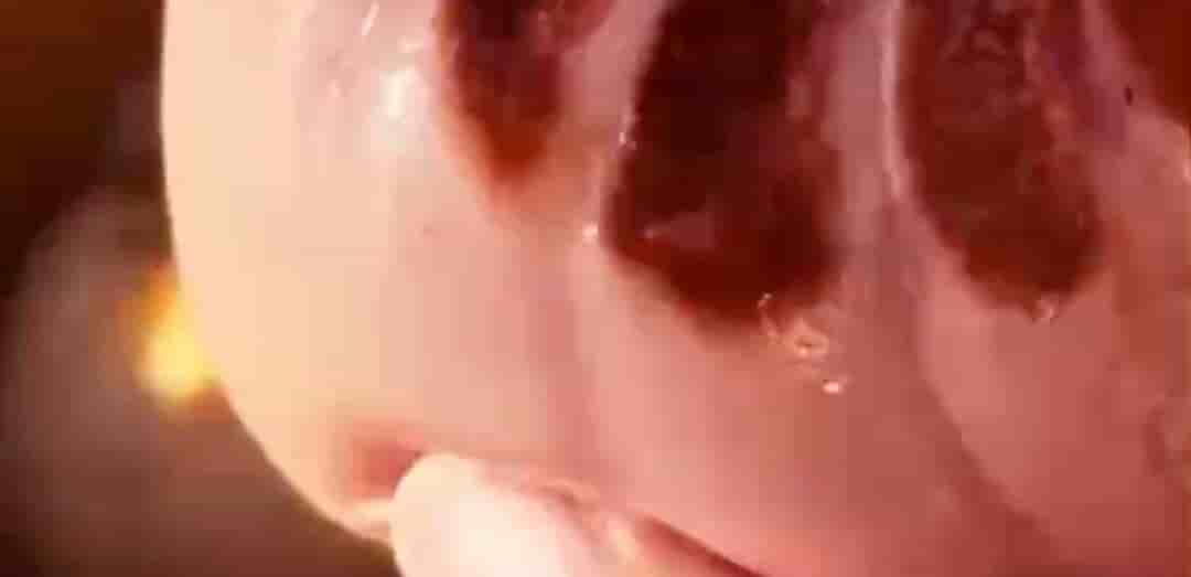 alt 1