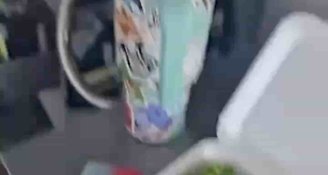alt 1