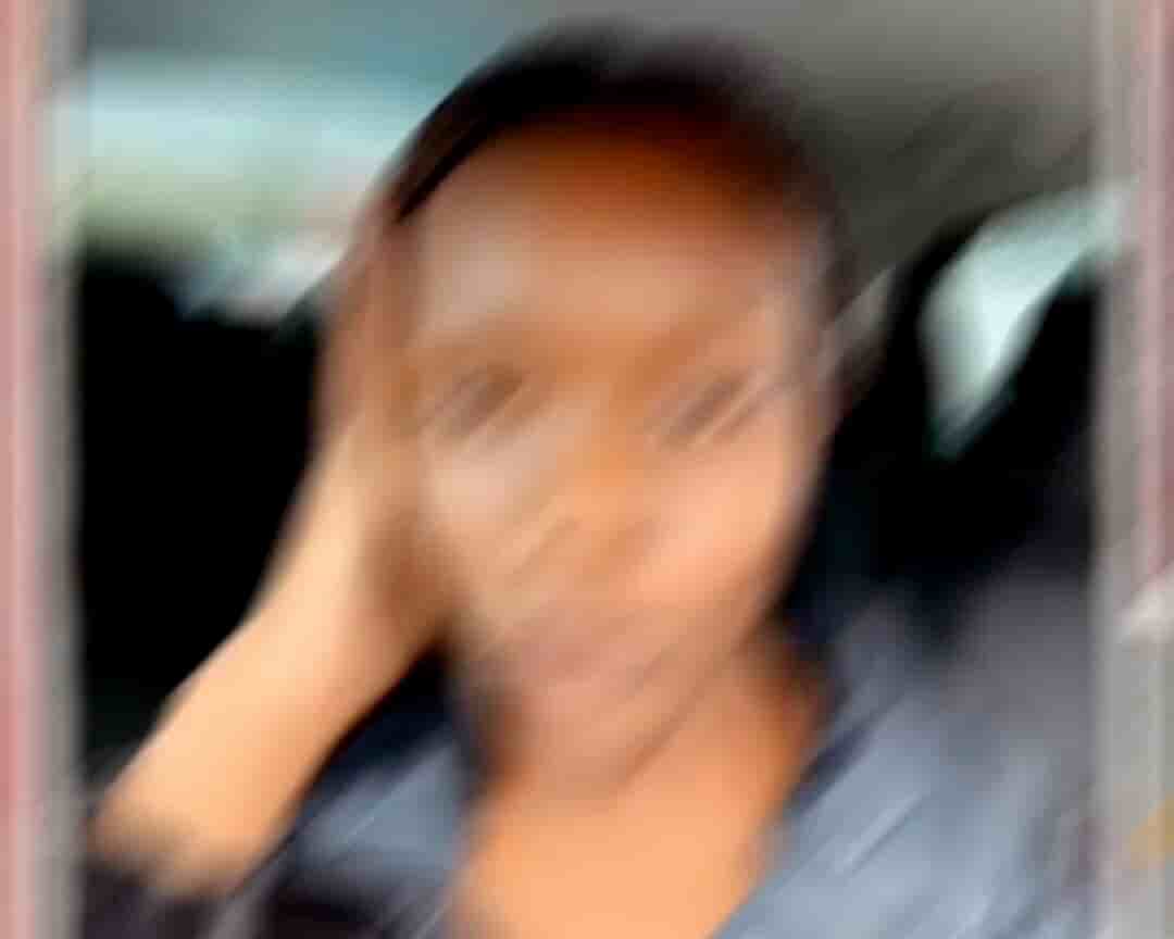 alt 1