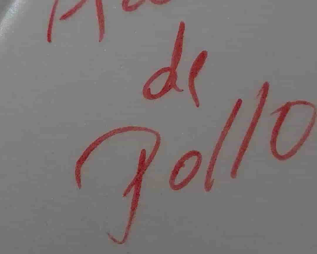 alt 1