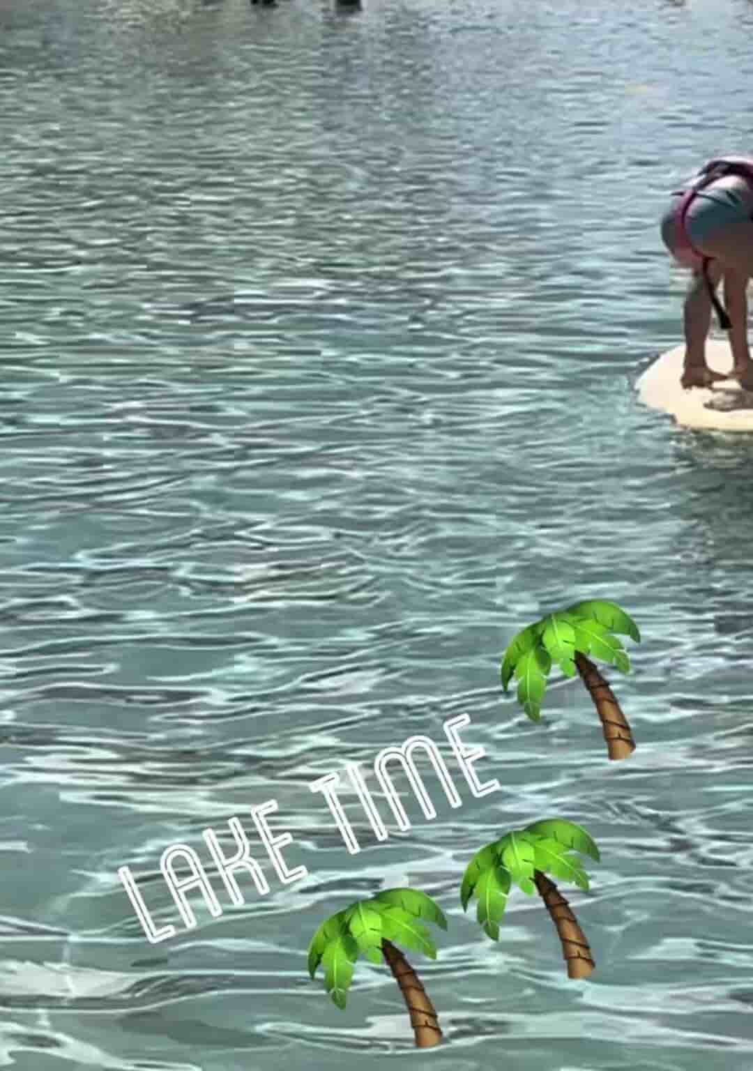 alt 1