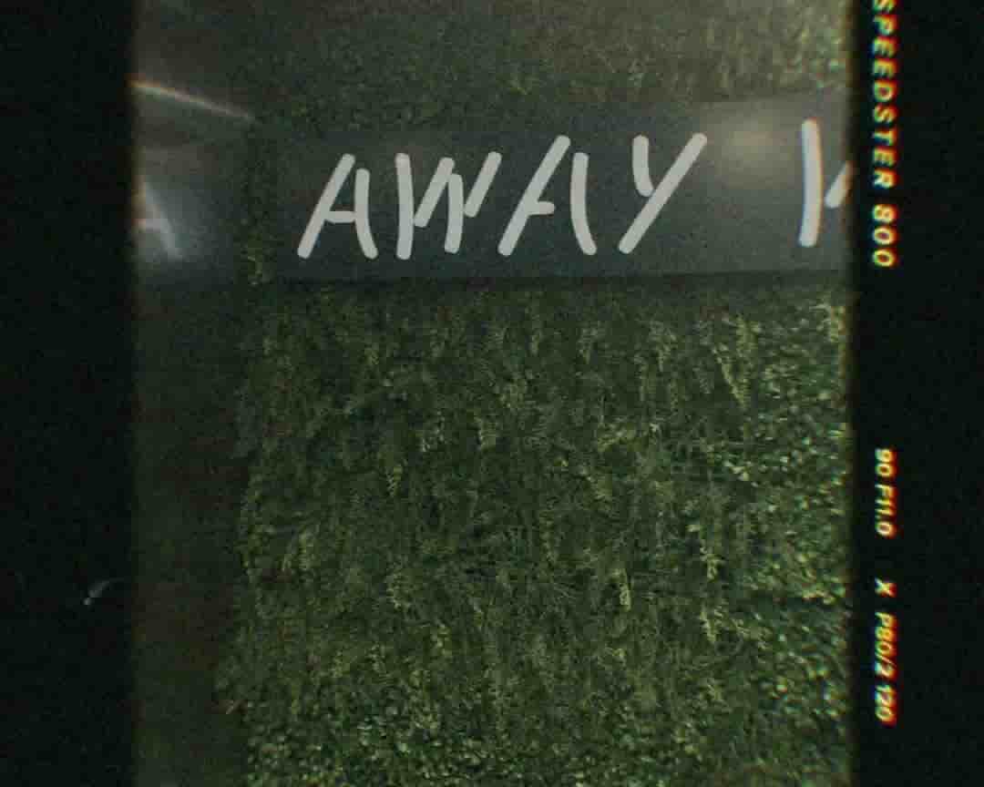 alt 1