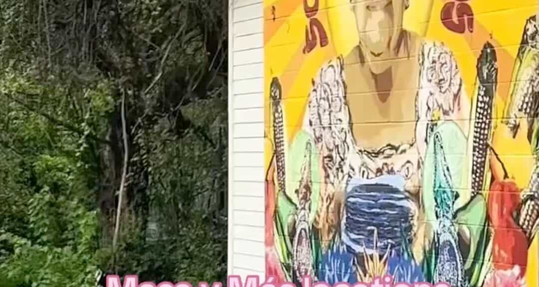 Masa y Más