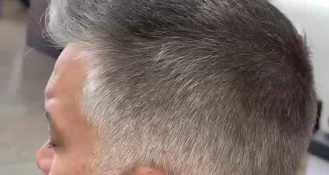 Cult Classic Cuts