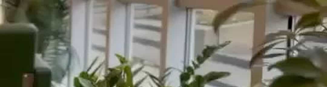 Promethean Hair Lounge