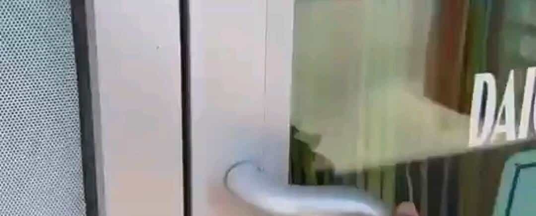 Paradise On Ice Daiquiris