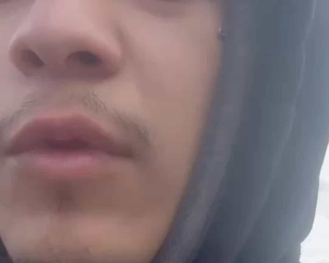 Bungalow 7 Wellness Collection