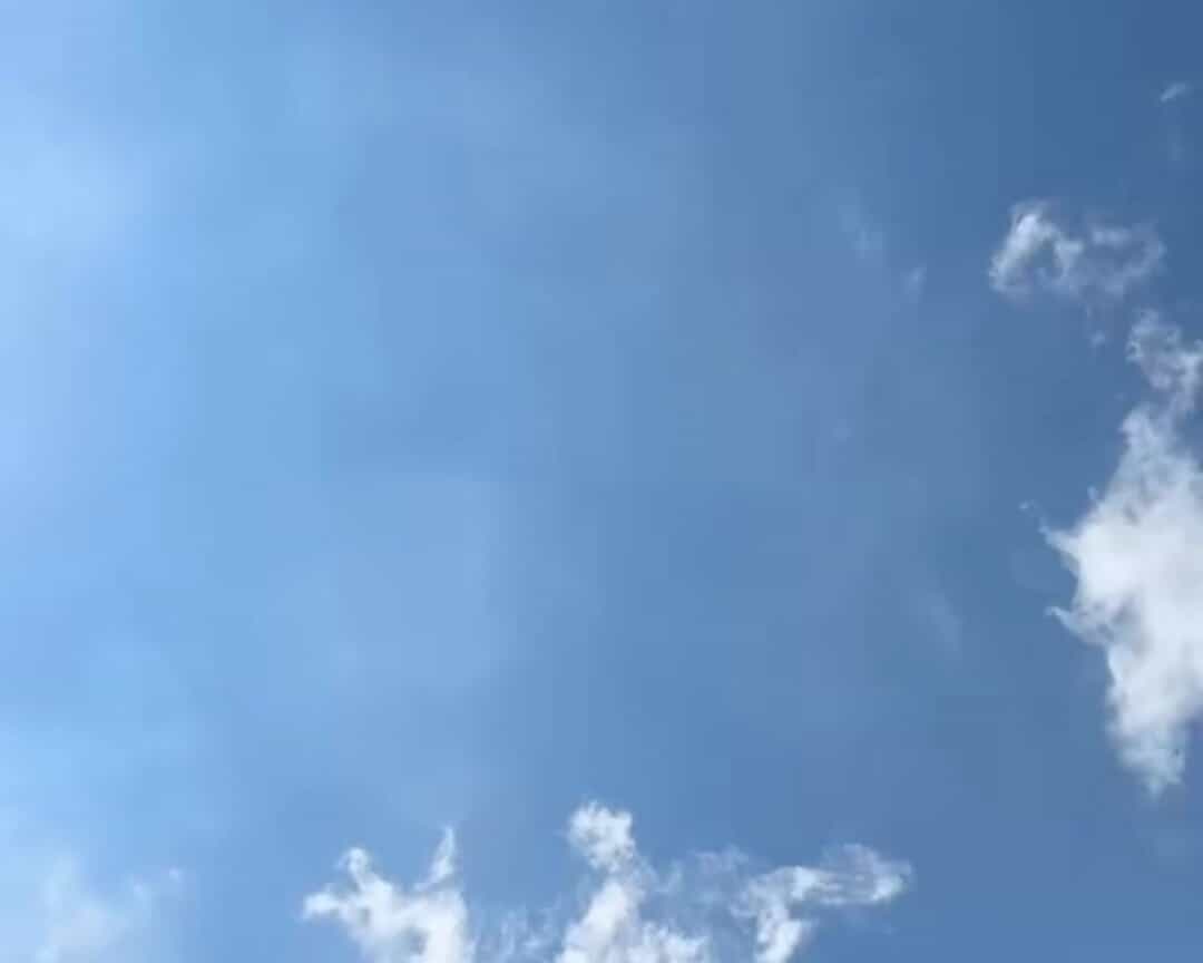 Pax & Beneficia Coffee - Grapevine