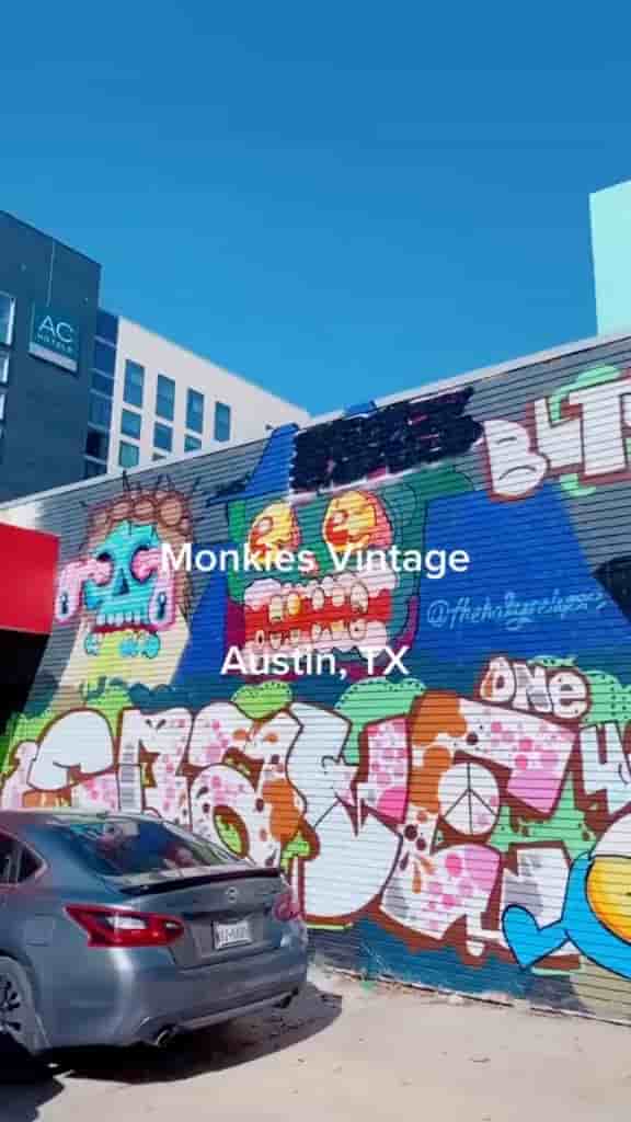 Monkies Vintage & Thrift in Austin 2