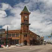 Grapevine