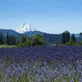 Hood River