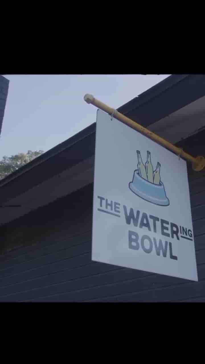 The Watering Bowl in Austin 2