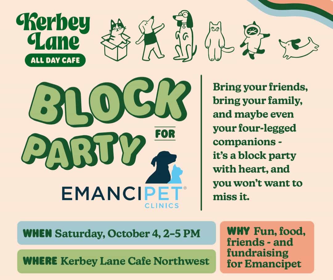 Block Party