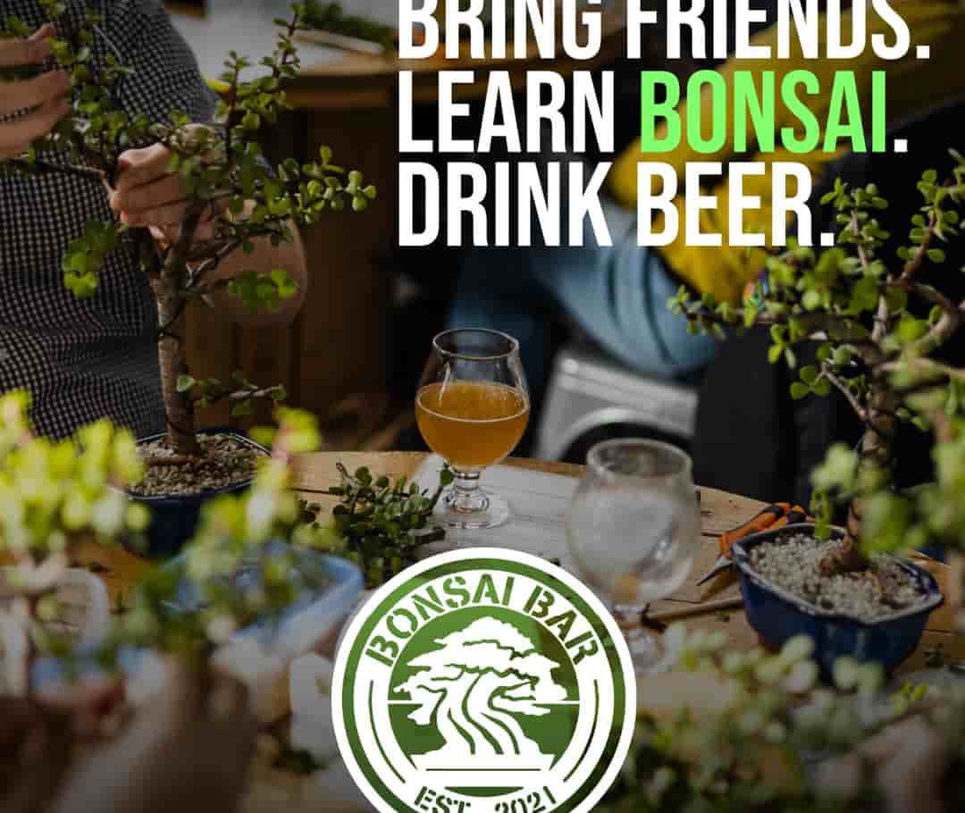 Bonsai & Beer: Make Tiny Trees! 1