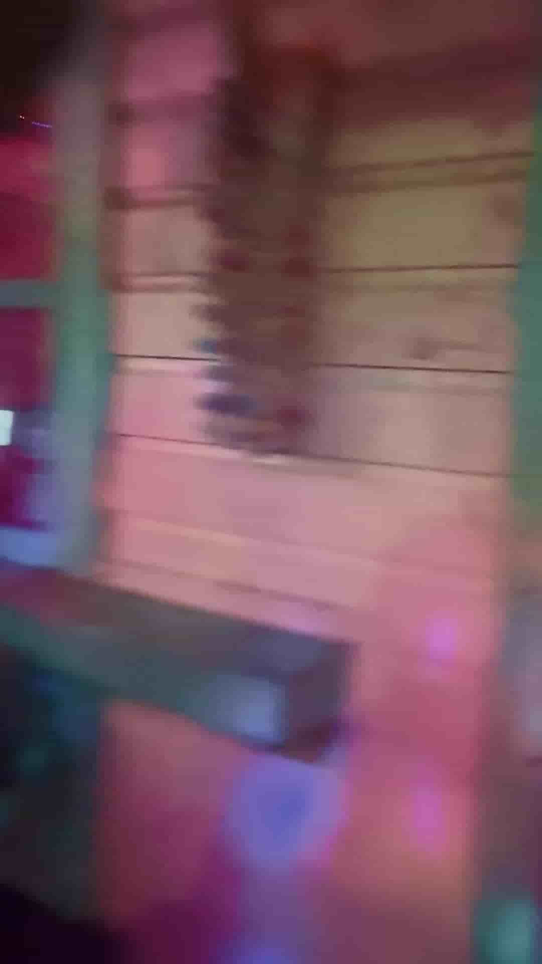 Placeholders Tiki Bar in Austin 5