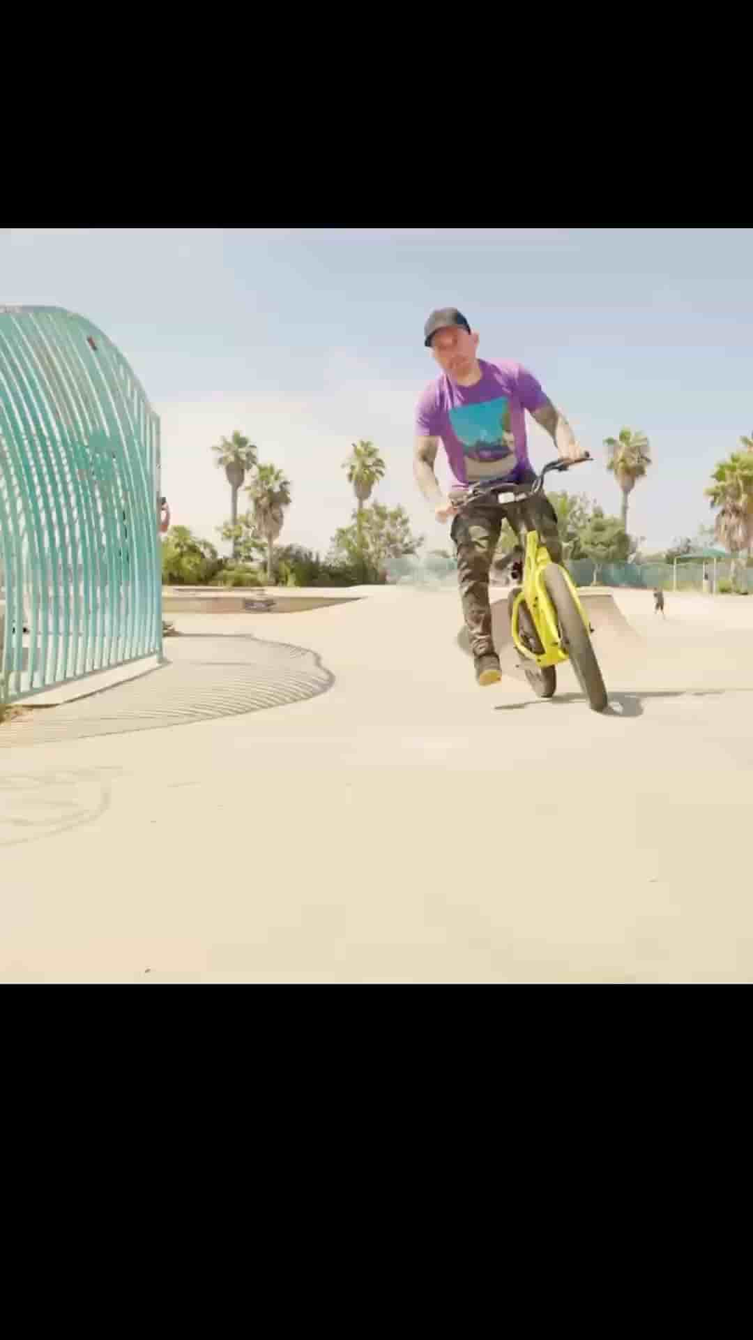 JackRabbit in Austin 3