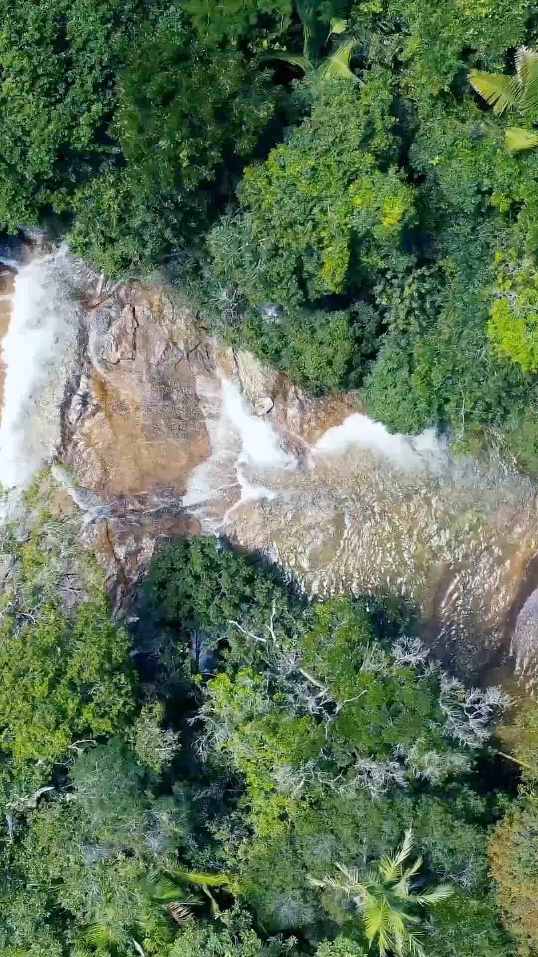 EcoEats Cafe in Kyiv 1