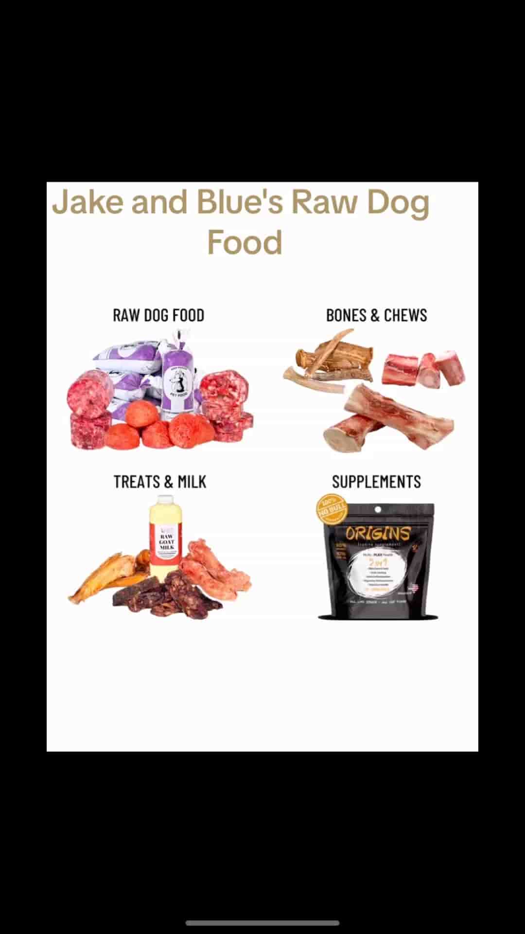 Jake and Blue's Raw Dog Food in Austin 5