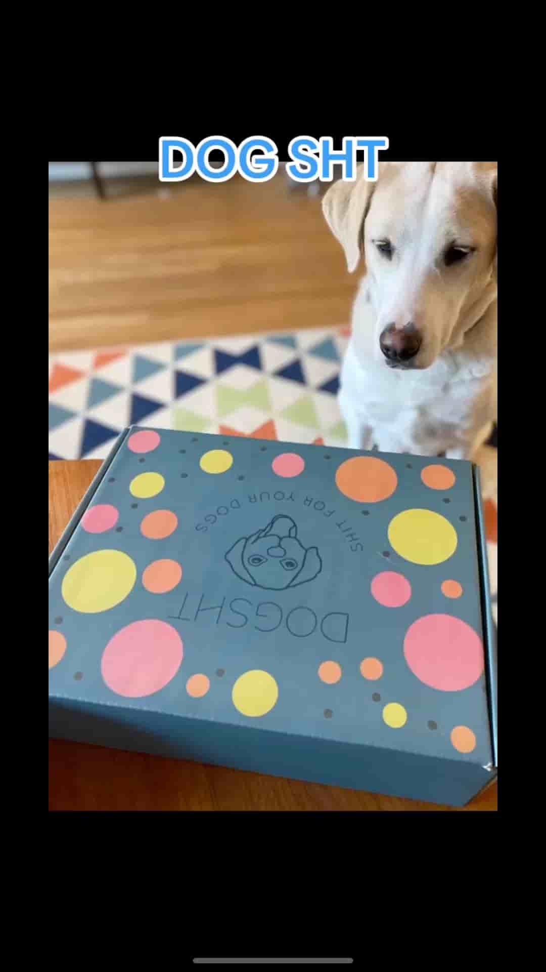 Shop Dog Sht in Austin 1