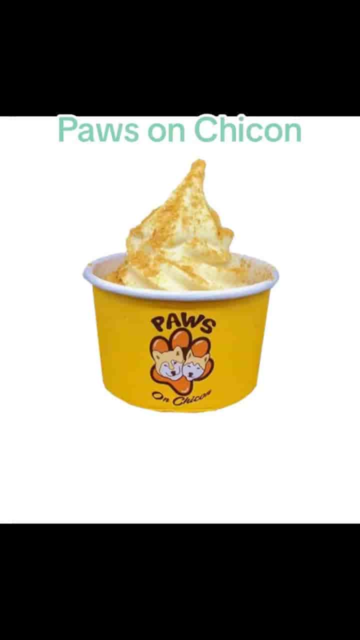 Paws on Chicon in Austin 5