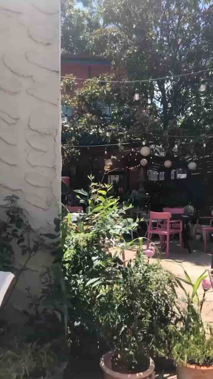 Tamale House East in Austin 5