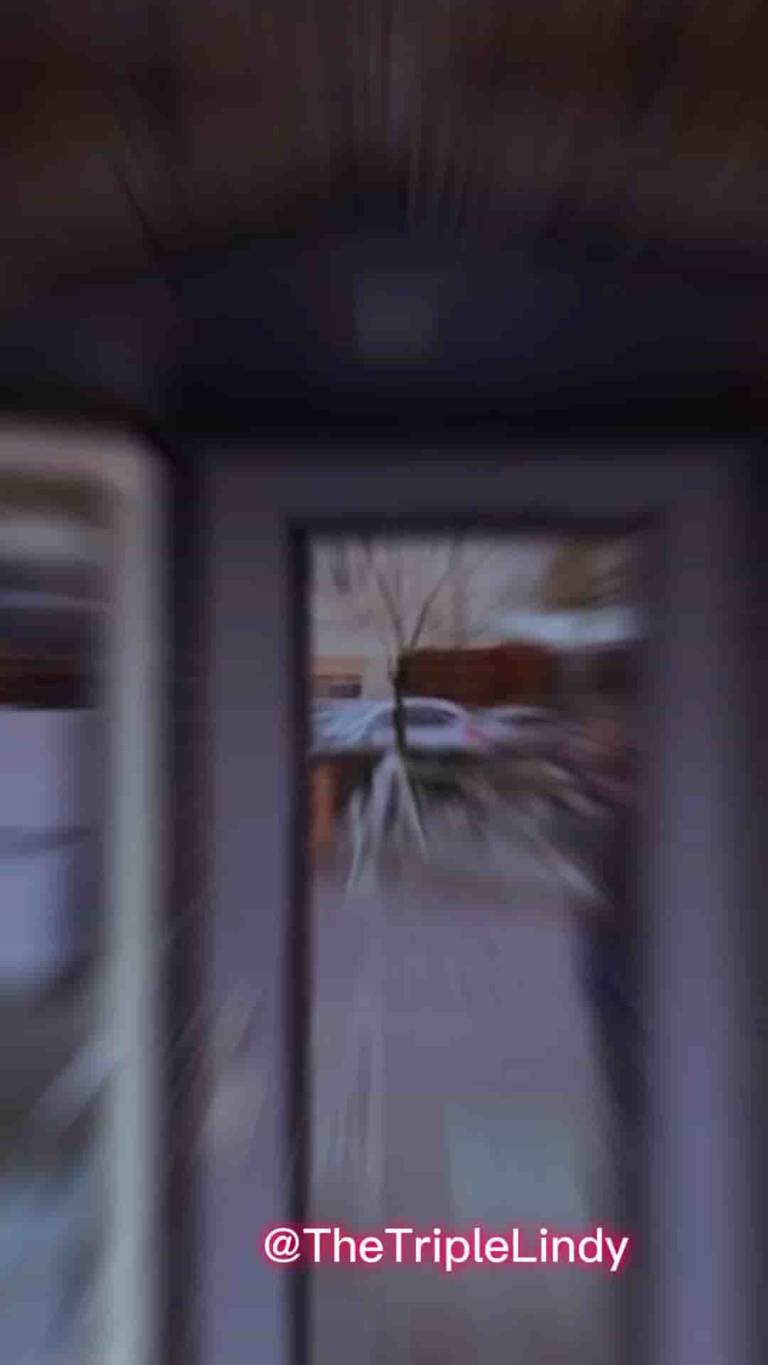 The Triple Lindy in Portland 5