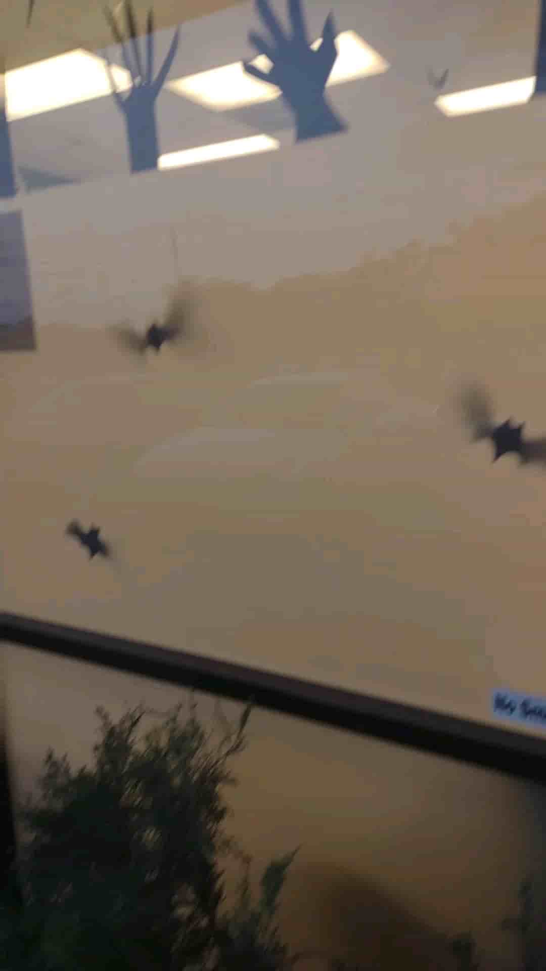 Borderless European Market (BEM) in Austin 3