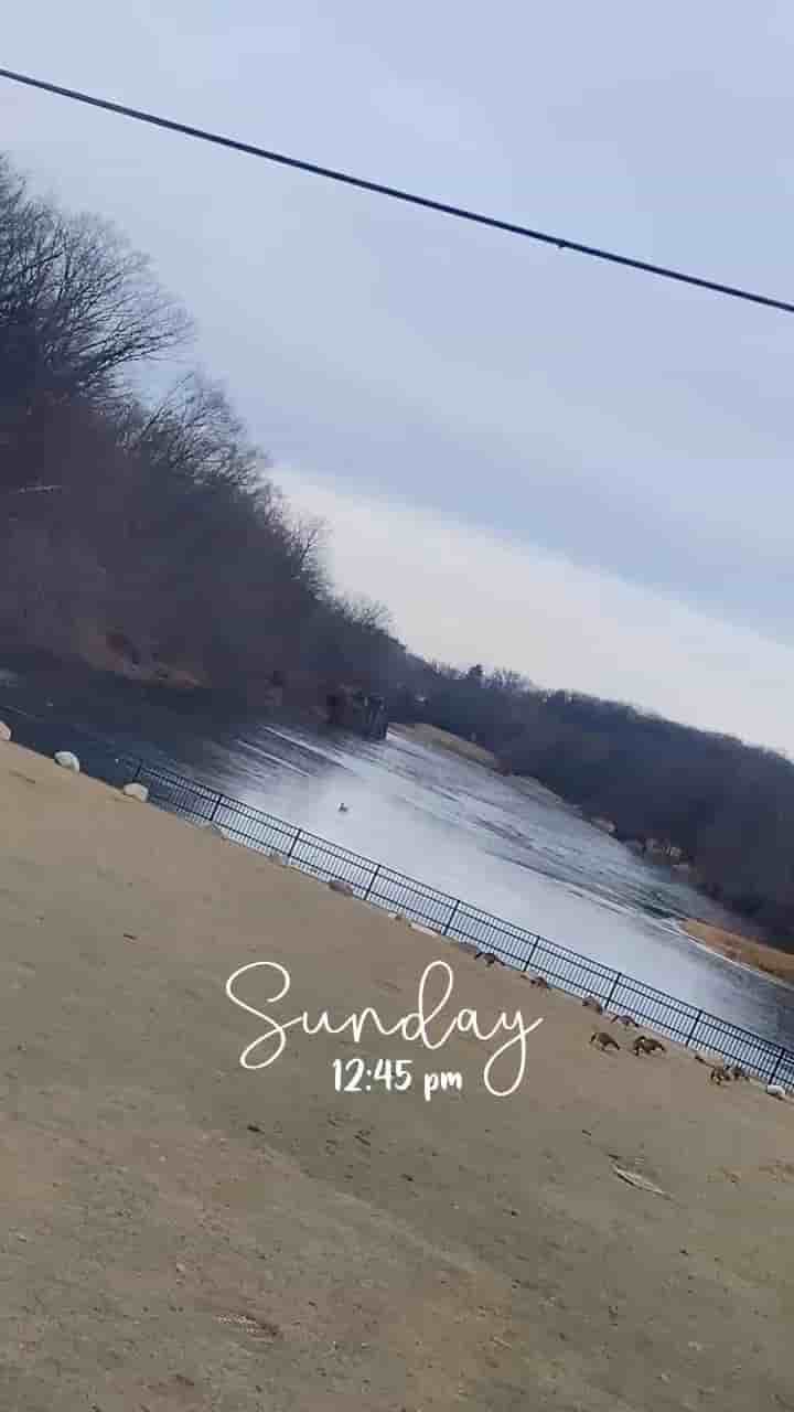 Mozart's Coffee Roasters in Austin 5