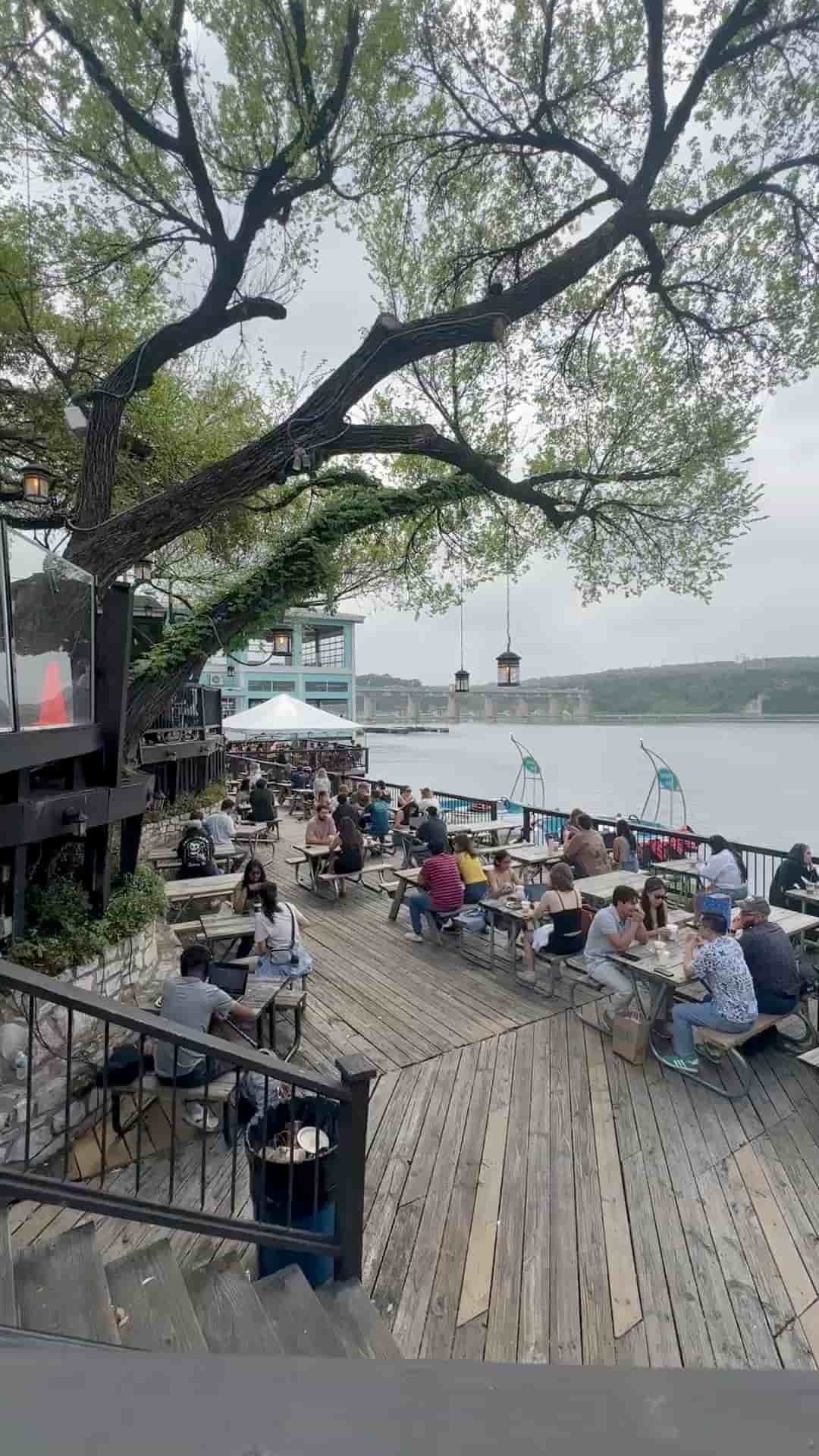 Mozart's Coffee Roasters in Austin 3