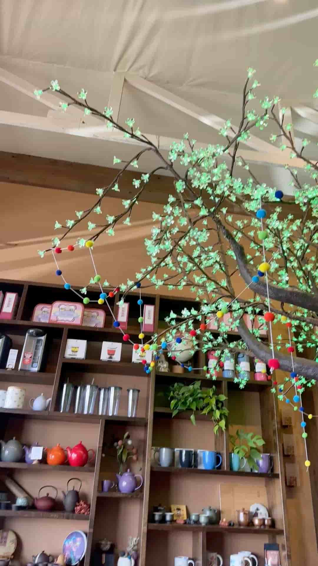 Cup of Tea in Clackamas 5