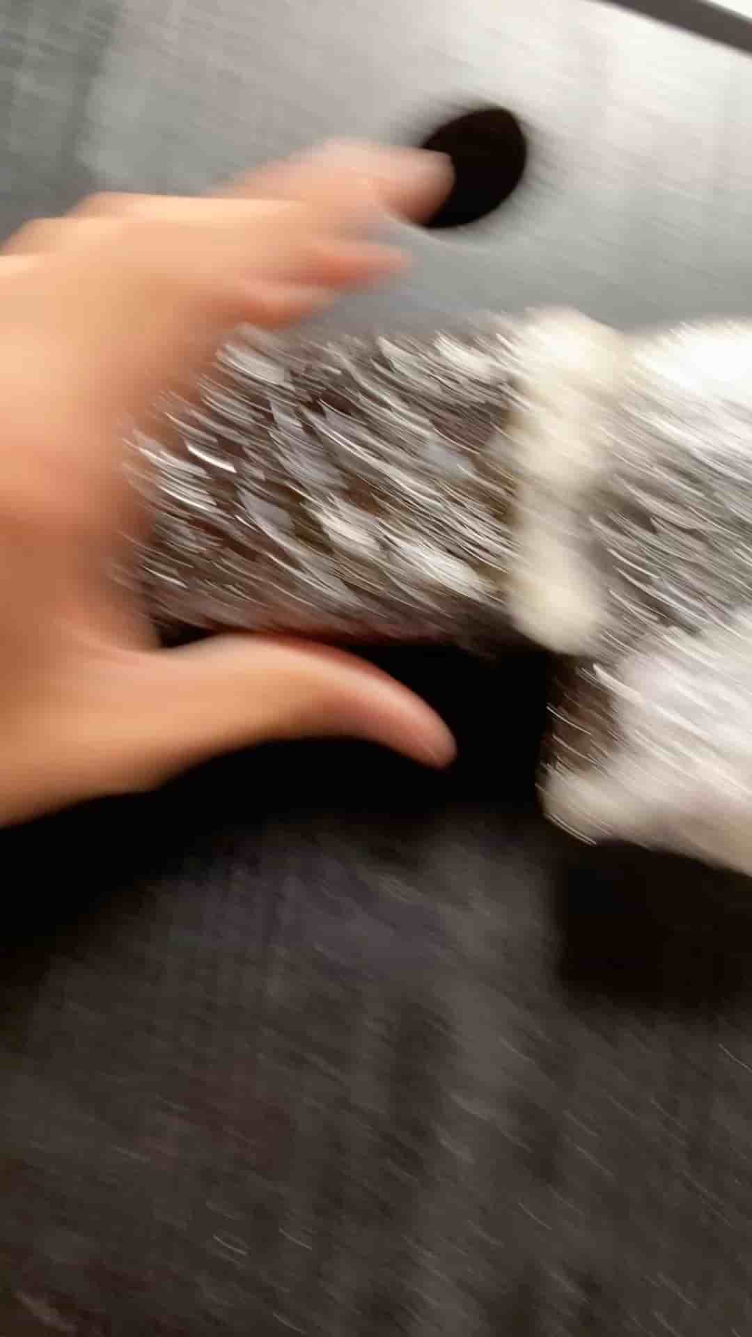 Rollin Fresh- Glisan in Portland 5