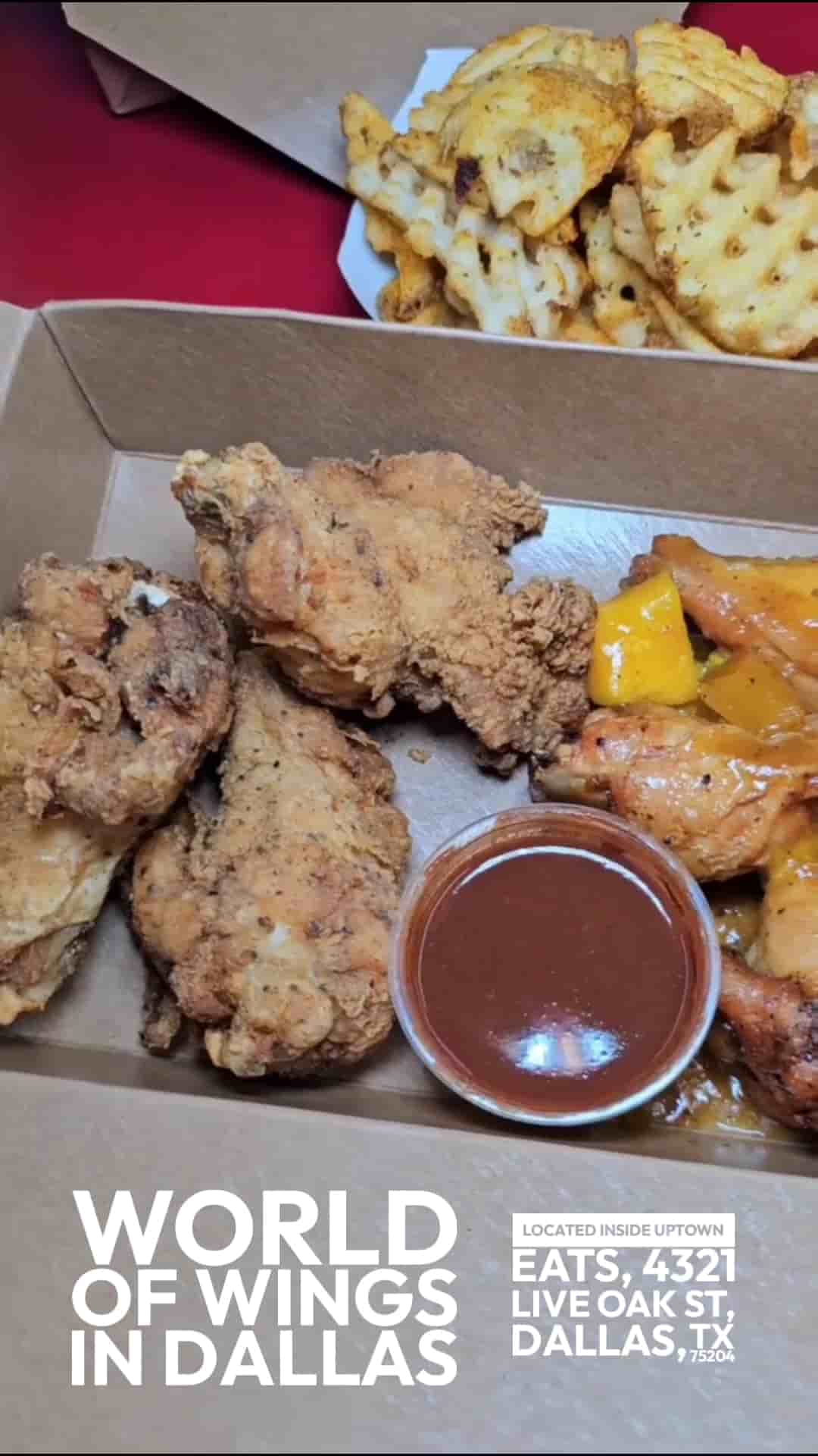 World of Wings in Dallas 2