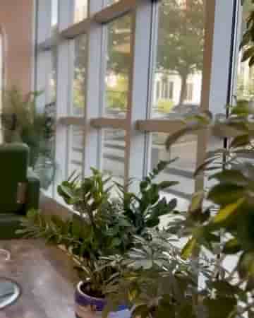 Promethean Hair Lounge in Portland 1