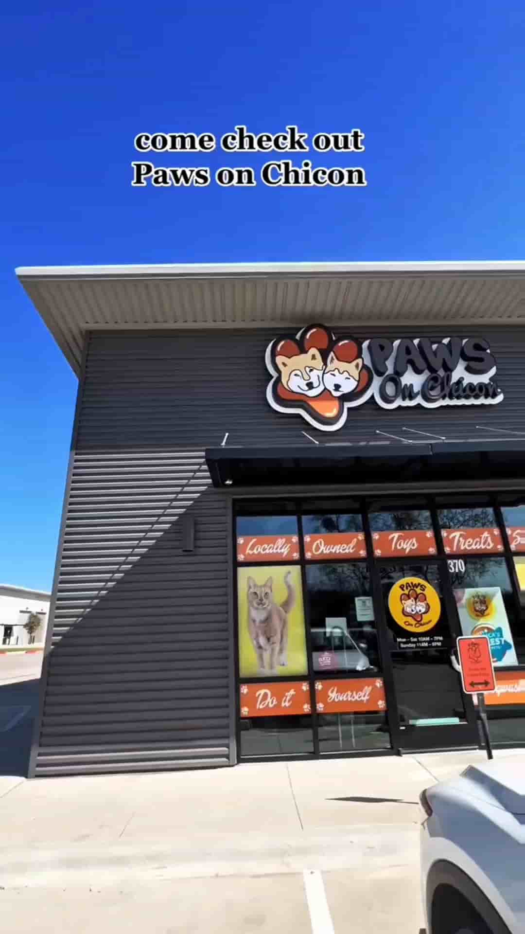 Paws on Chicon in Austin 1