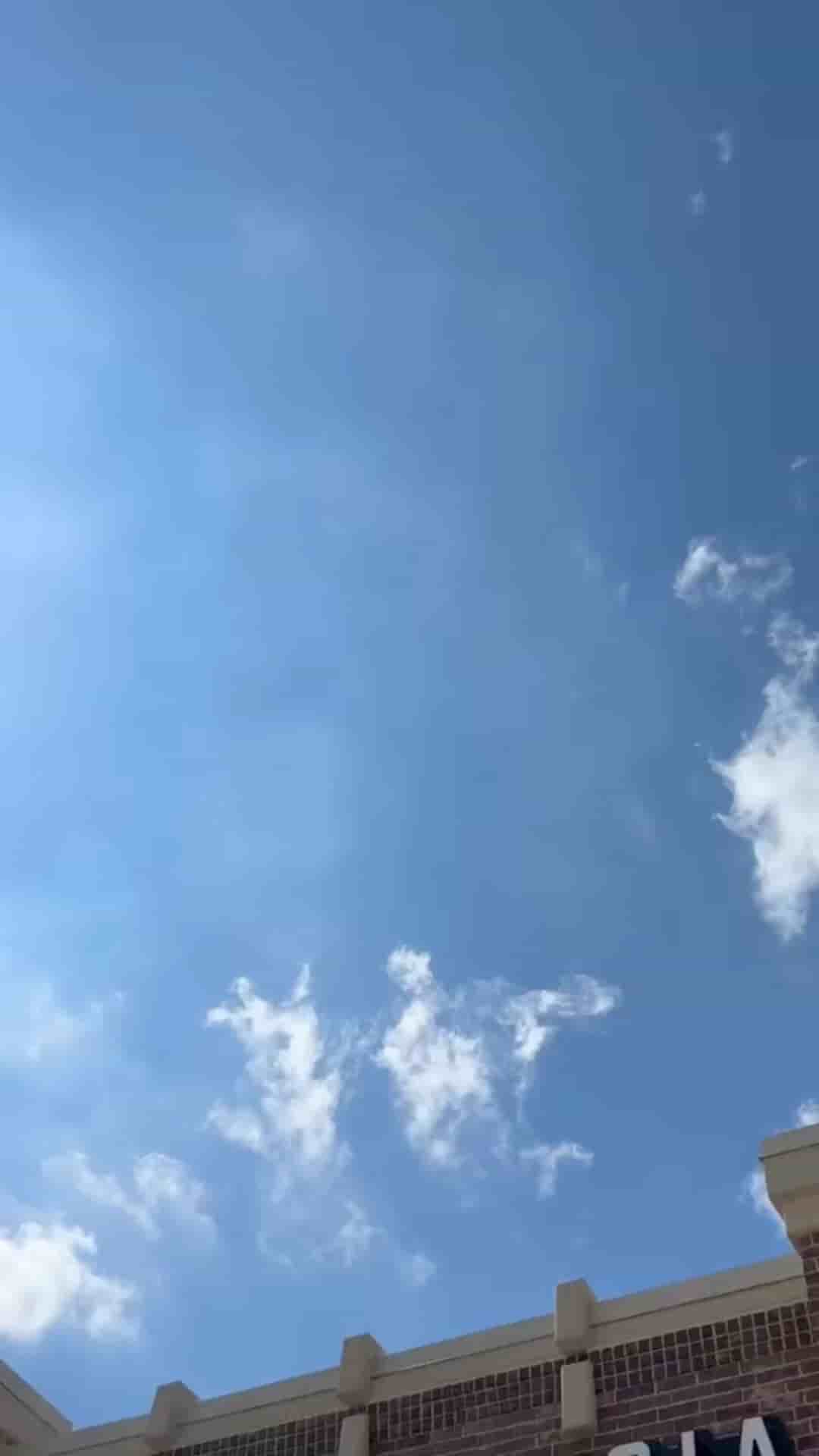 Pax & Beneficia Coffee - Grapevine in Grapevine 1